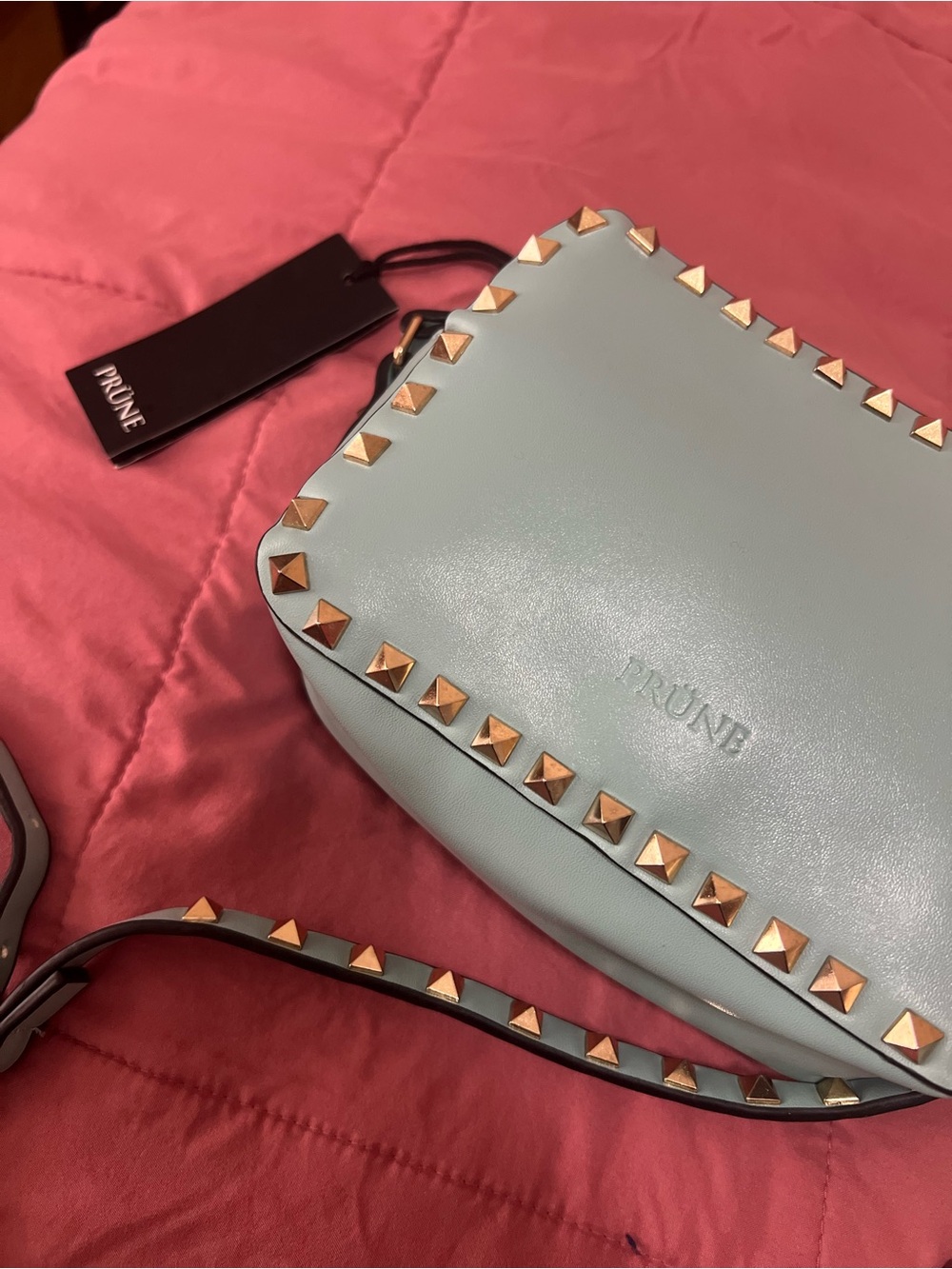 Prune - Mint Studded Faux Leather Crossbody Bag